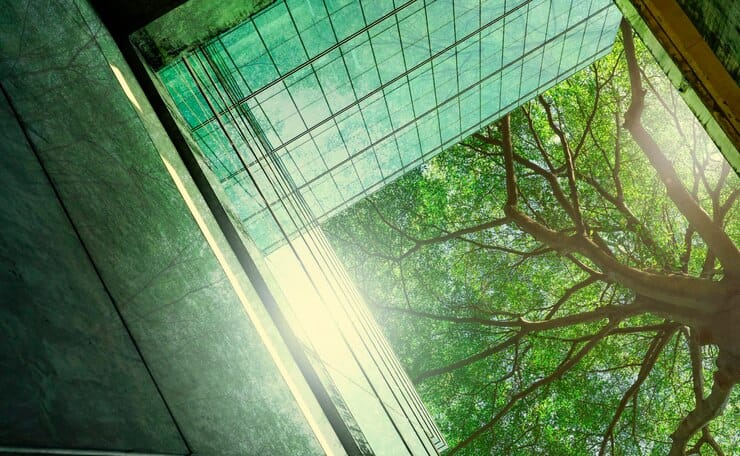 Edificio de oficinas con fachada de cristal reflejando la copa verde de un árbol